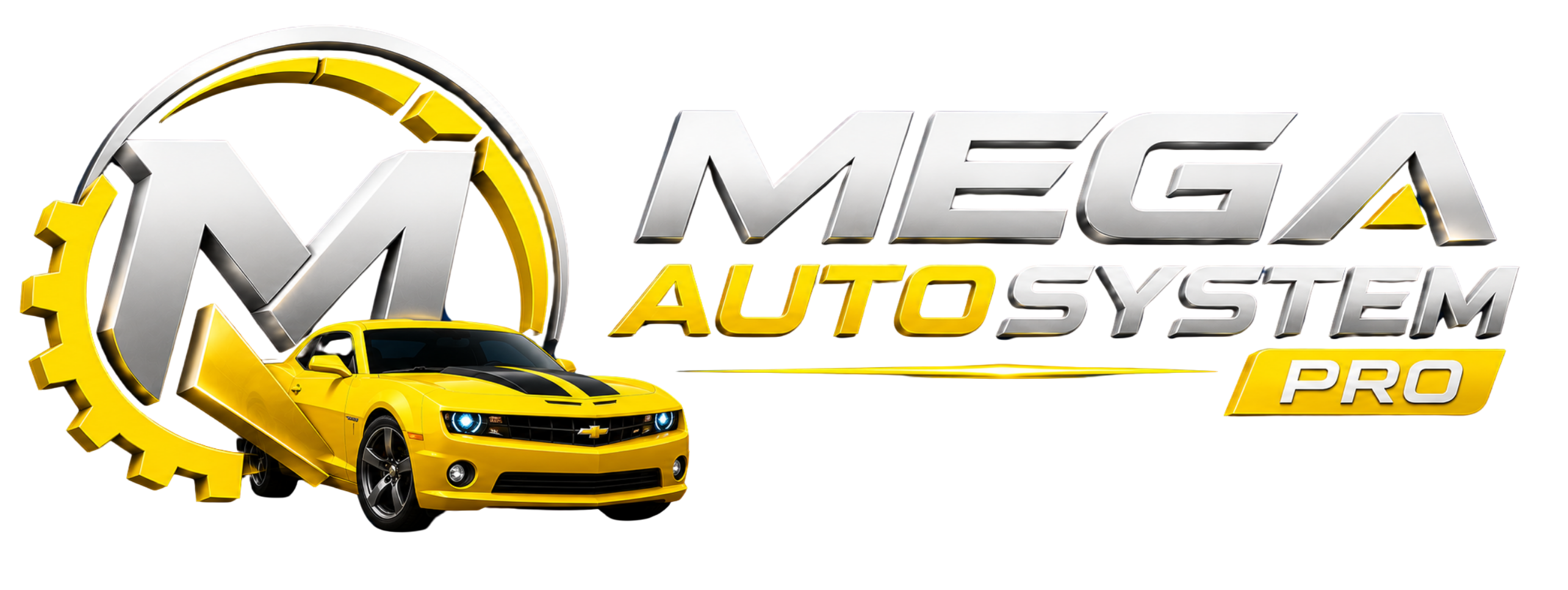 MEGA-AUTOSYSTEM PRO